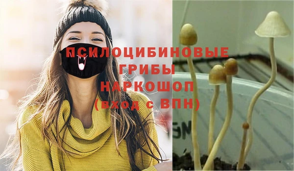 mdma Зеленодольск