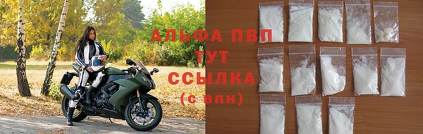 индика Заволжье