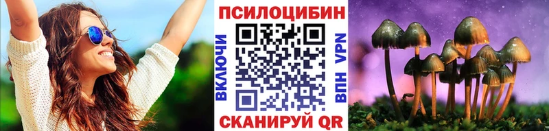 Псилоцибиновые грибы Psilocybe  Тюмень 